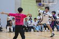 IRE_1176_R